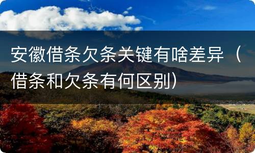 安徽借条欠条关键有啥差异（借条和欠条有何区别）