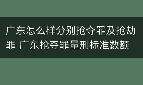 广东怎么样分别抢夺罪及抢劫罪 广东抢夺罪量刑标准数额