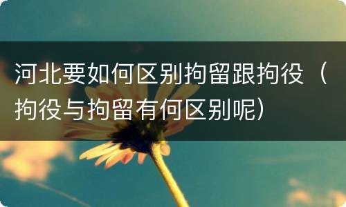 河北要如何区别拘留跟拘役（拘役与拘留有何区别呢）