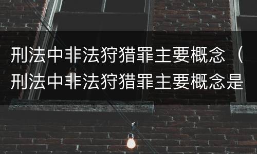 刑法中非法狩猎罪主要概念（刑法中非法狩猎罪主要概念是指）