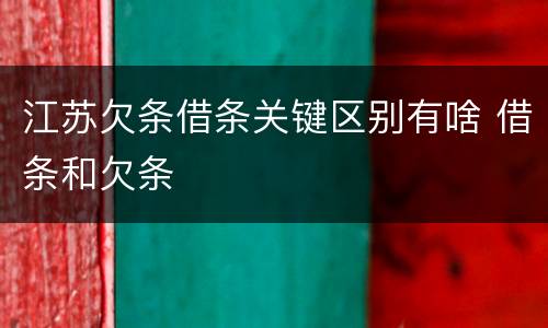江苏欠条借条关键区别有啥 借条和欠条
