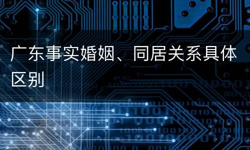广东事实婚姻、同居关系具体区别