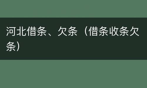 河北借条、欠条（借条收条欠条）