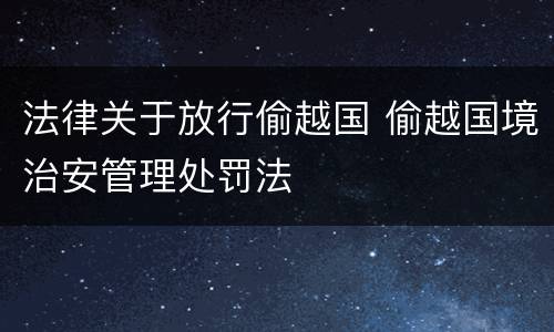 法律关于放行偷越国 偷越国境治安管理处罚法