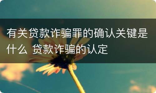 有关贷款诈骗罪的确认关键是什么 贷款诈骗的认定