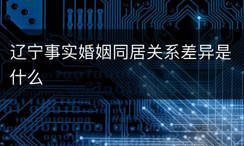 辽宁事实婚姻同居关系差异是什么