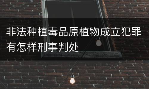 非法种植毒品原植物成立犯罪有怎样刑事判处