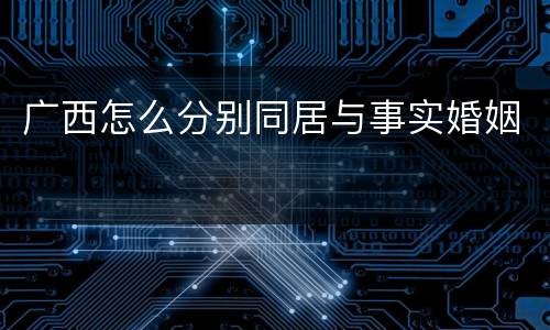 广西怎么分别同居与事实婚姻