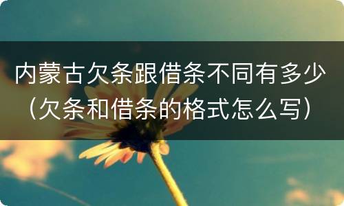 内蒙古欠条跟借条不同有多少（欠条和借条的格式怎么写）