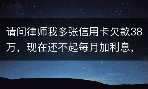 请问律师我多张信用卡欠款38万，现在还不起每月加利息，我怎么可以协商还银行