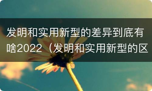 发明和实用新型的差异到底有啥2022（发明和实用新型的区别举例）