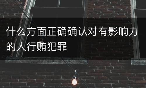 什么方面正确确认对有影响力的人行贿犯罪