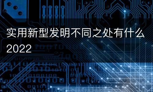 实用新型发明不同之处有什么2022