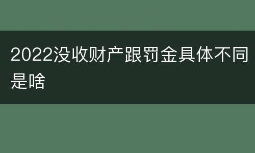 2022没收财产跟罚金具体不同是啥