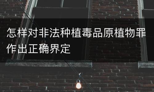 怎样对非法种植毒品原植物罪作出正确界定