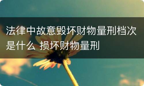 法律中故意毁坏财物量刑档次是什么 损坏财物量刑