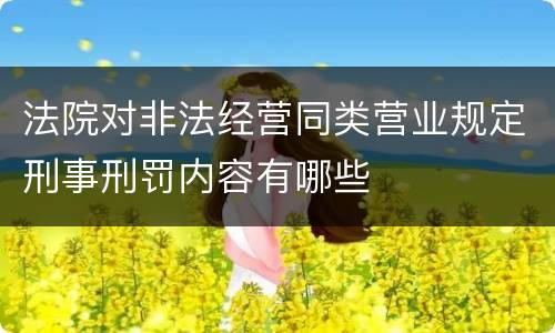 法院对非法经营同类营业规定刑事刑罚内容有哪些