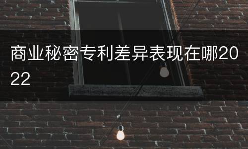 商业秘密专利差异表现在哪2022