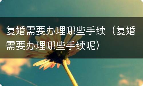 复婚需要办理哪些手续（复婚需要办理哪些手续呢）