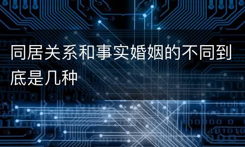 同居关系和事实婚姻的不同到底是几种