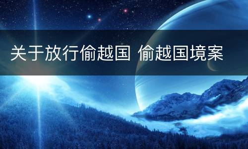 关于放行偷越国 偷越国境案