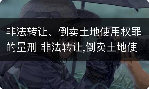 非法转让、倒卖土地使用权罪的量刑 非法转让,倒卖土地使用权罪的量刑依据