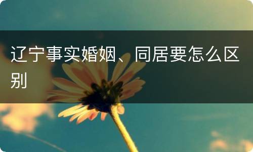 辽宁事实婚姻、同居要怎么区别