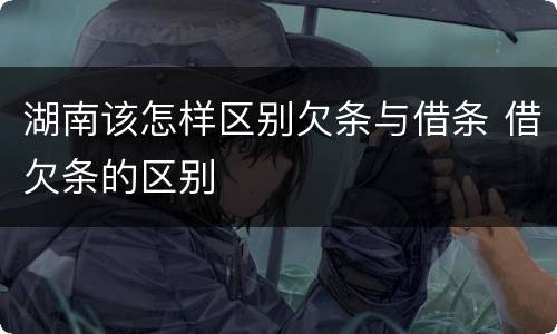 湖南该怎样区别欠条与借条 借欠条的区别