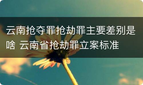 云南抢夺罪抢劫罪主要差别是啥 云南省抢劫罪立案标准