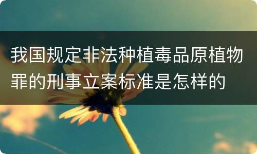 我国规定非法种植毒品原植物罪的刑事立案标准是怎样的