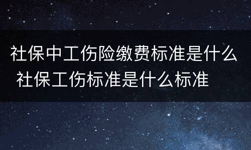 社保中工伤险缴费标准是什么 社保工伤标准是什么标准