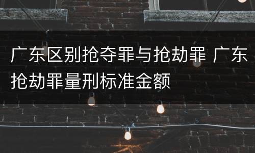 广东区别抢夺罪与抢劫罪 广东抢劫罪量刑标准金额
