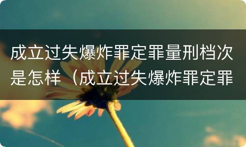 成立过失爆炸罪定罪量刑档次是怎样（成立过失爆炸罪定罪量刑档次是怎样计算的）