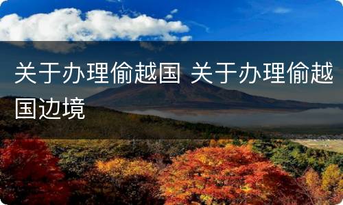 关于办理偷越国 关于办理偷越国边境