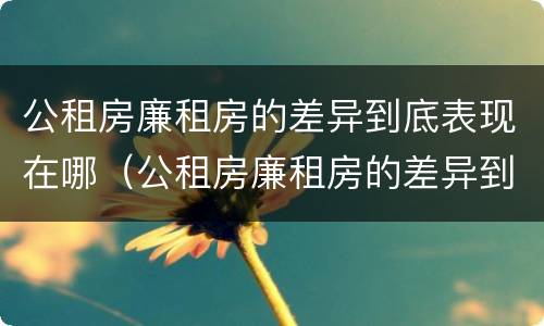 公租房廉租房的差异到底表现在哪（公租房廉租房的差异到底表现在哪方面）