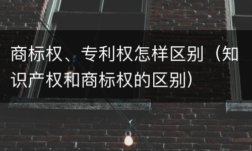 商标权、专利权怎样区别（知识产权和商标权的区别）