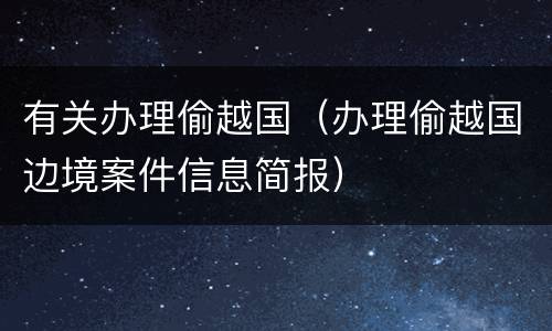 有关办理偷越国（办理偷越国边境案件信息简报）