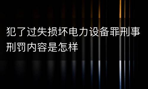 犯了过失损坏电力设备罪刑事刑罚内容是怎样