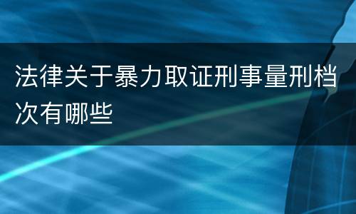 法律关于暴力取证刑事量刑档次有哪些