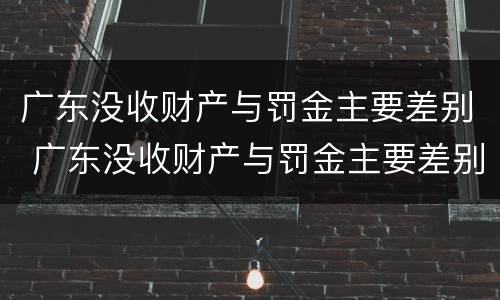广东没收财产与罚金主要差别 广东没收财产与罚金主要差别在哪