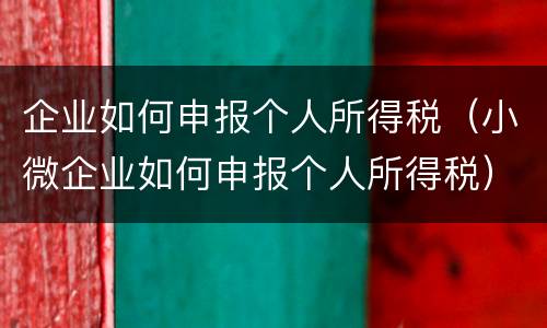 企业如何申报个人所得税（小微企业如何申报个人所得税）