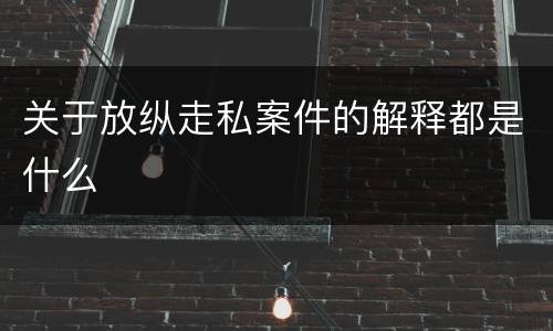 关于放纵走私案件的解释都是什么