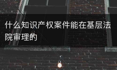 什么知识产权案件能在基层法院审理的