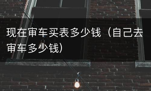 现在审车买表多少钱（自己去审车多少钱）