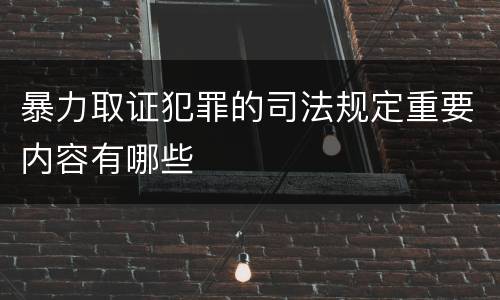 暴力取证犯罪的司法规定重要内容有哪些