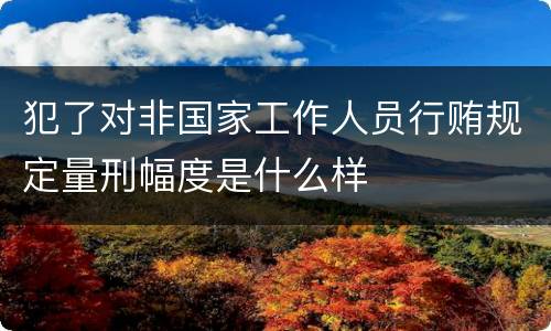 犯了对非国家工作人员行贿规定量刑幅度是什么样