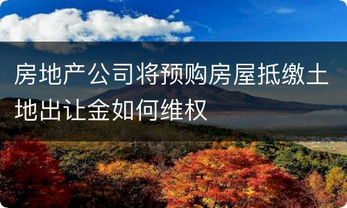 房地产公司将预购房屋抵缴土地出让金如何维权