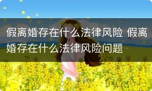 假离婚存在什么法律风险 假离婚存在什么法律风险问题