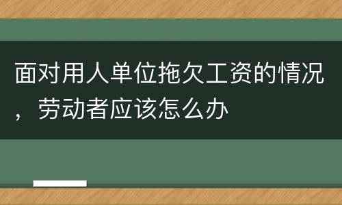 面对用人单位拖欠工资的情况，劳动者应该怎么办