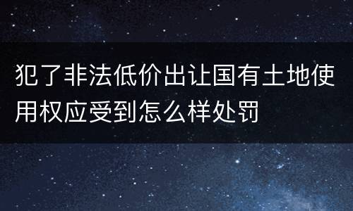 犯了非法低价出让国有土地使用权应受到怎么样处罚